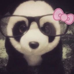 Avatar of PlayMasterX